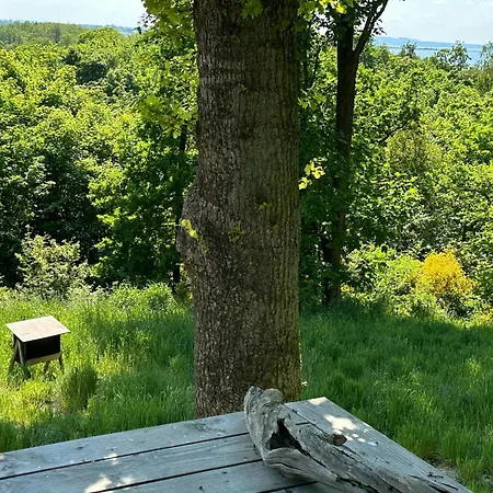 Elevated House With Tremendous View Near Horsens
