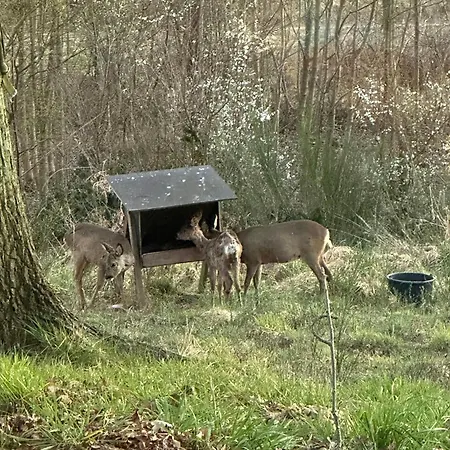Ferienhaus Hojtplaceret Hus Med Formidabel Udsigt Ved Horsens *